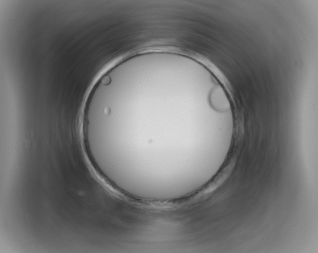 X0000114650957200910200958