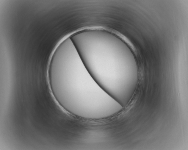 X0000114650959200910200958