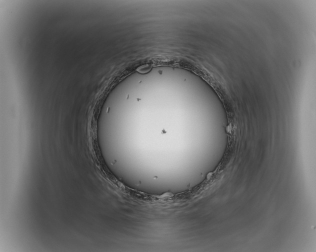 X0000114650961200910200957