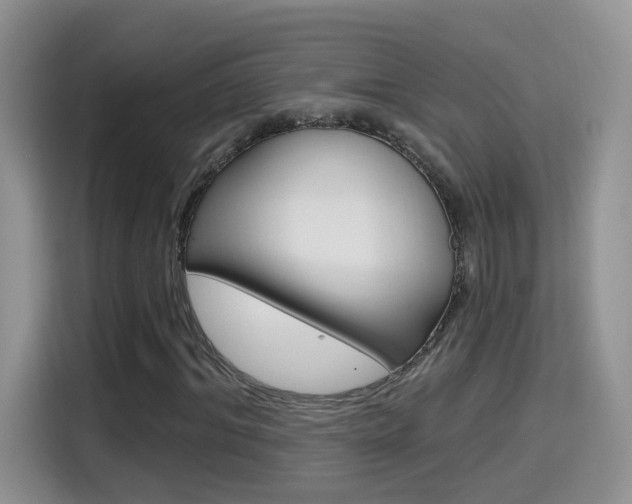 X0000114650964200910200957