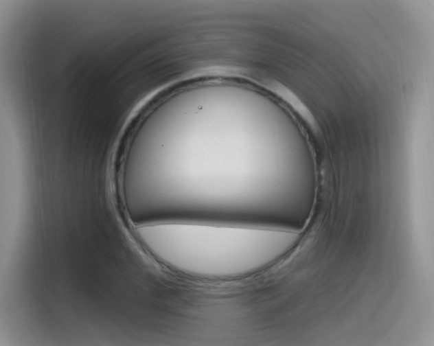 X0000114650972200910200957