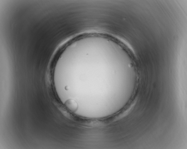 X0000114650974200910200957