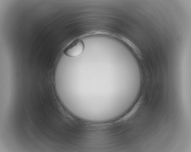 X0000114650977200910200957
