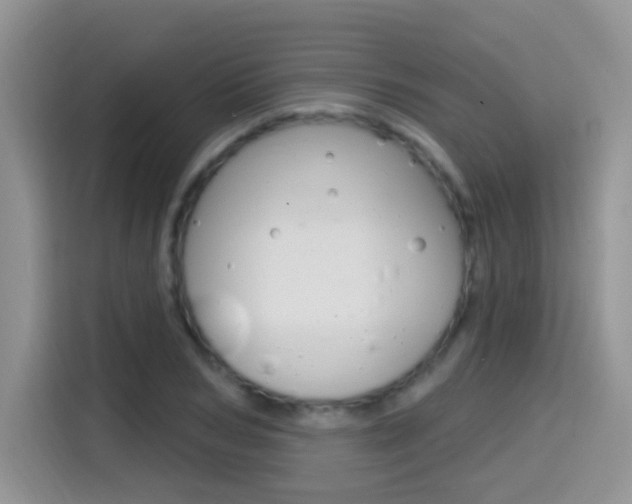 X0000114650978200910200957