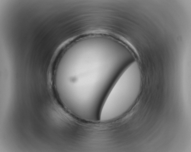 X0000114650979200910200957
