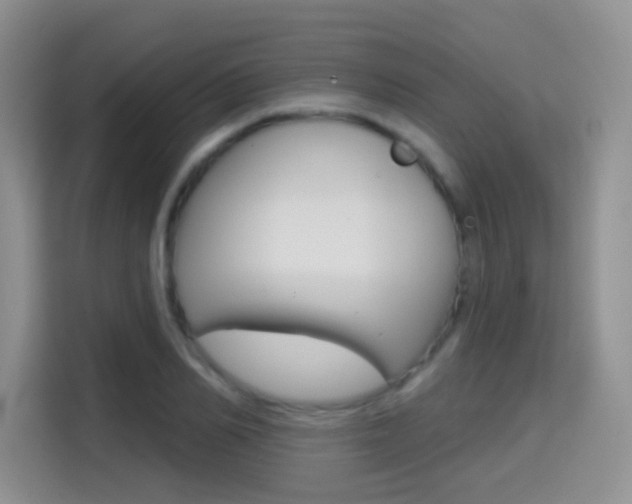 X0000114650982200910200957