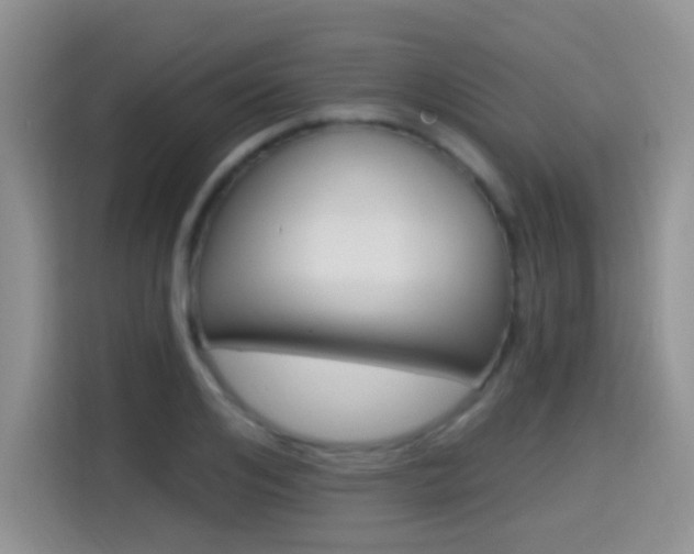 X0000114650984200910200957
