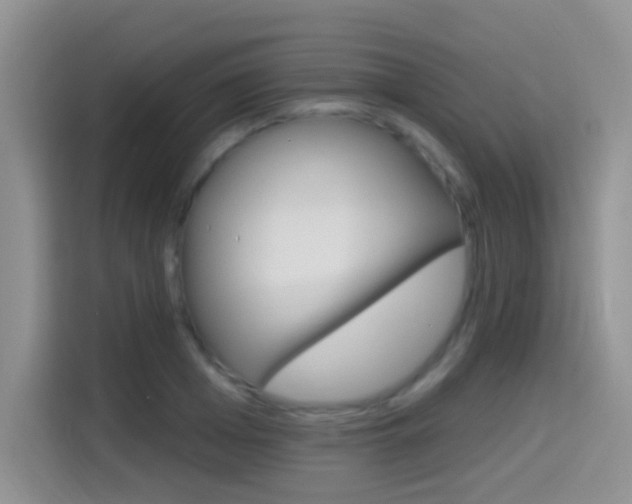 X0000114650985200910200957