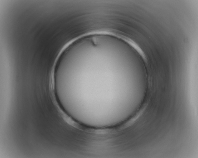 X0000114650988200910200957