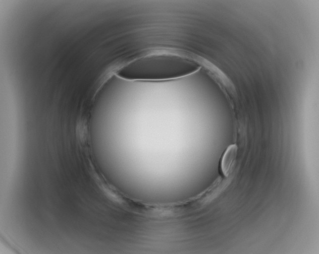 X0000114650993200910200957