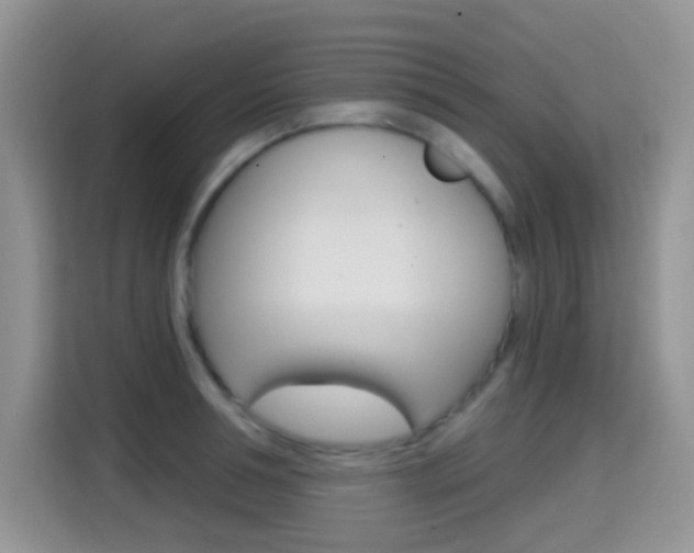 X0000114650994200910200957