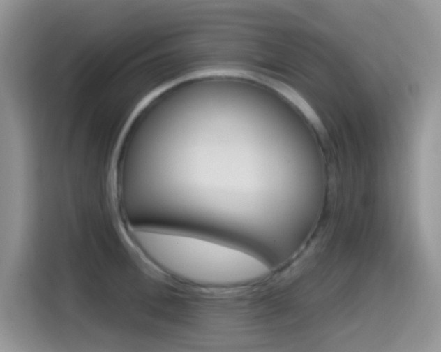 X0000114650996200910200957