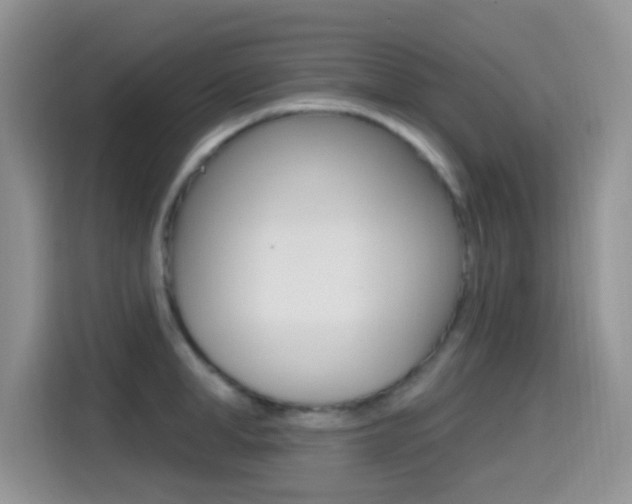X0000114650998200910200957
