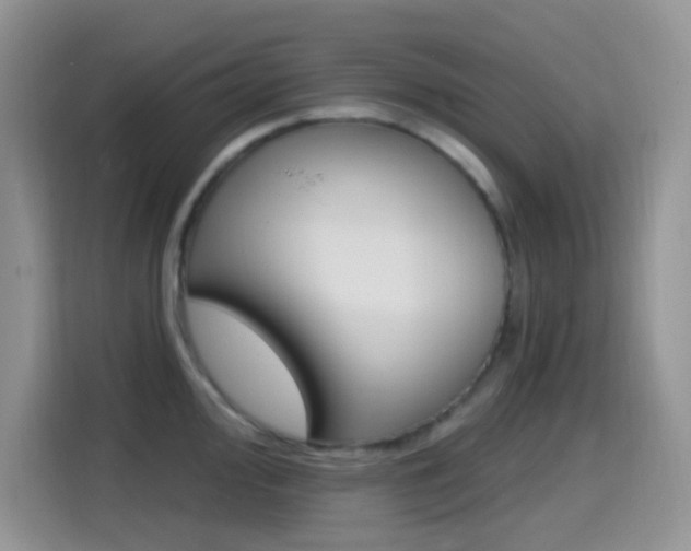X0000114651000200910200957
