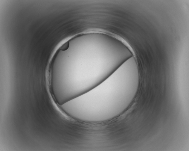 X0000114651003200910200957