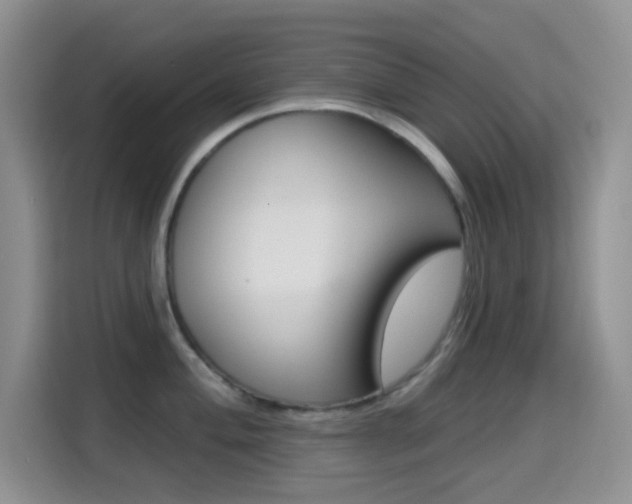 X0000114651004200910200957
