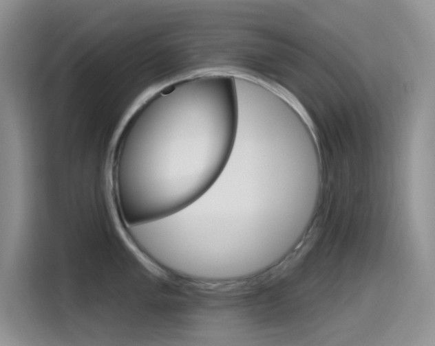 X0000114651005200910200957