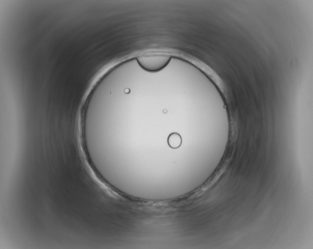 X0000114651006200910200957