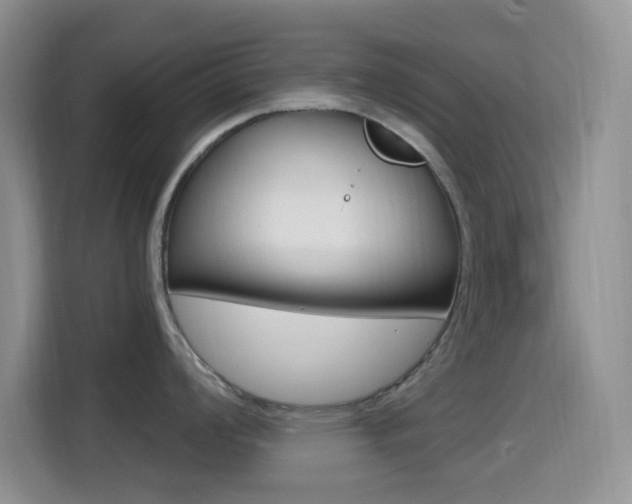X0000114651008200910200957