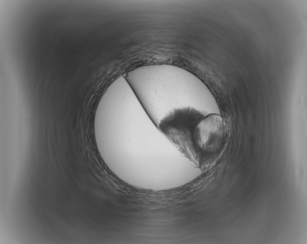 X0000114651009200910200956