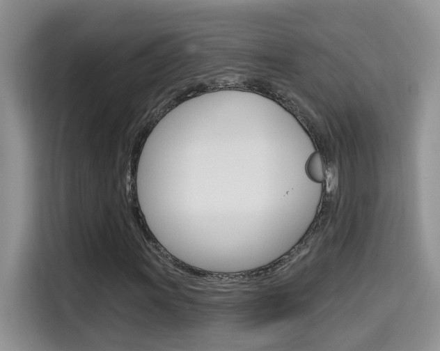 X0000114651011200910200956