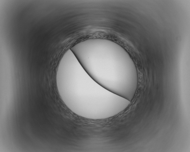 X0000114651013200910200956