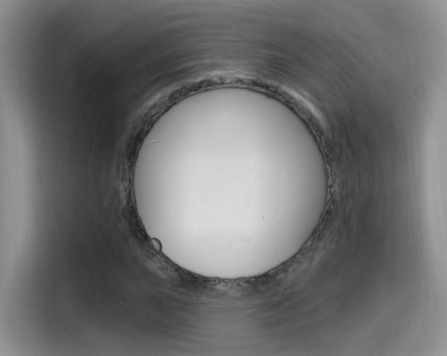X0000114651015200910200956