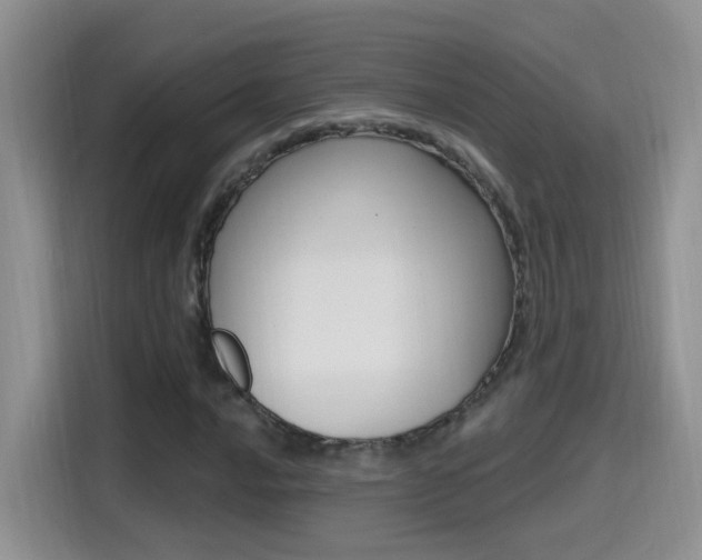 X0000114651016200910200956