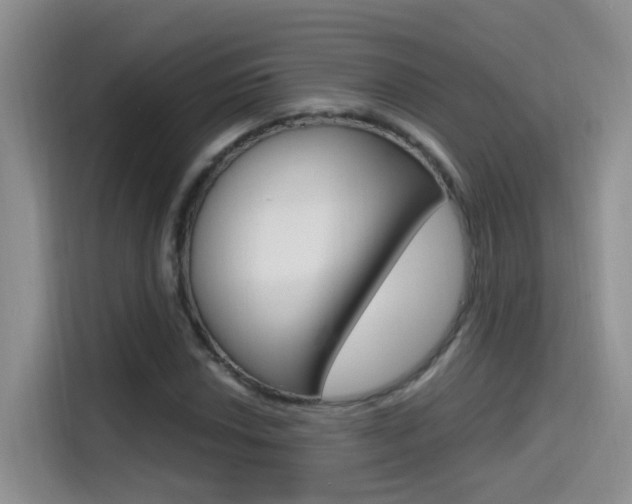 X0000114651018200910200956