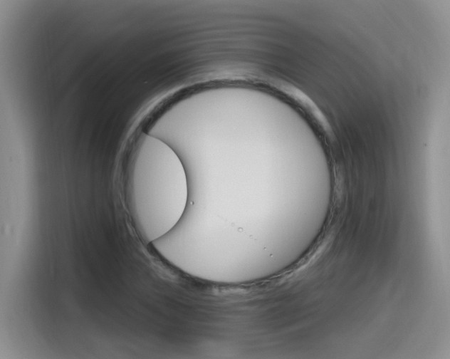X0000114651019200910200956