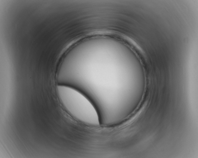 X0000114651025200910200956