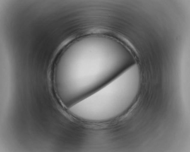 X0000114651026200910200956