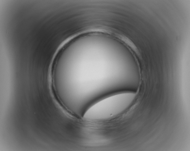 X0000114651028200910200956