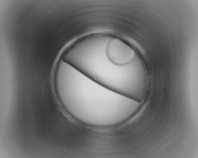 X0000114651029200910200956