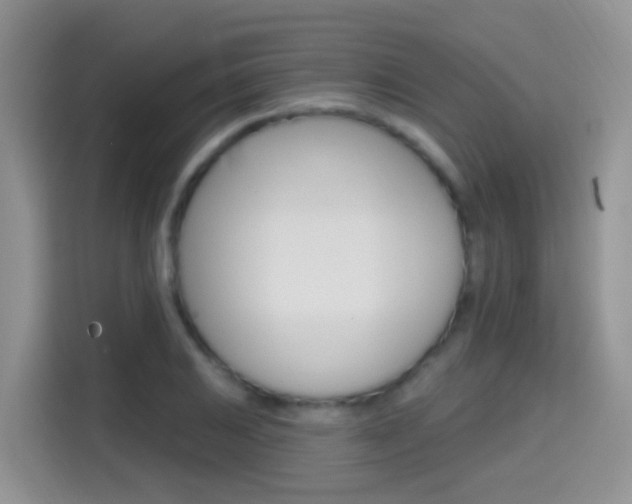 X0000114651031200910200956