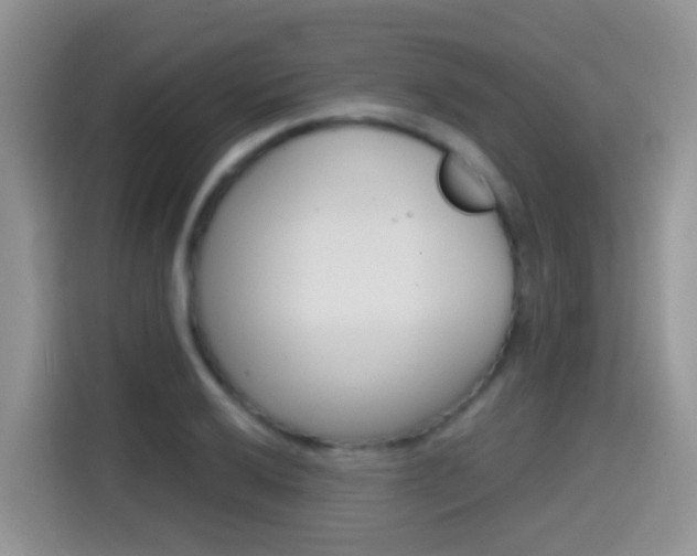 X0000114651032200910200956