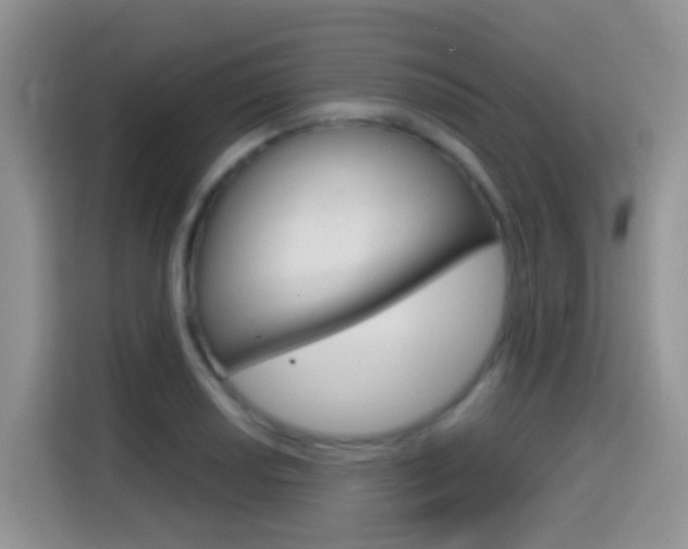 X0000114651034200910200957