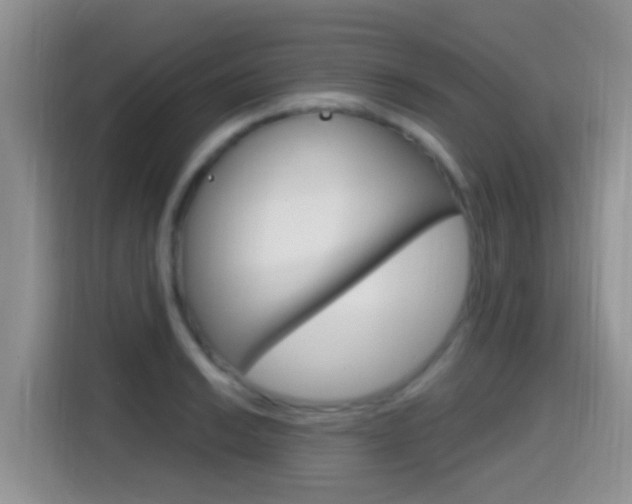X0000114651038200910200957