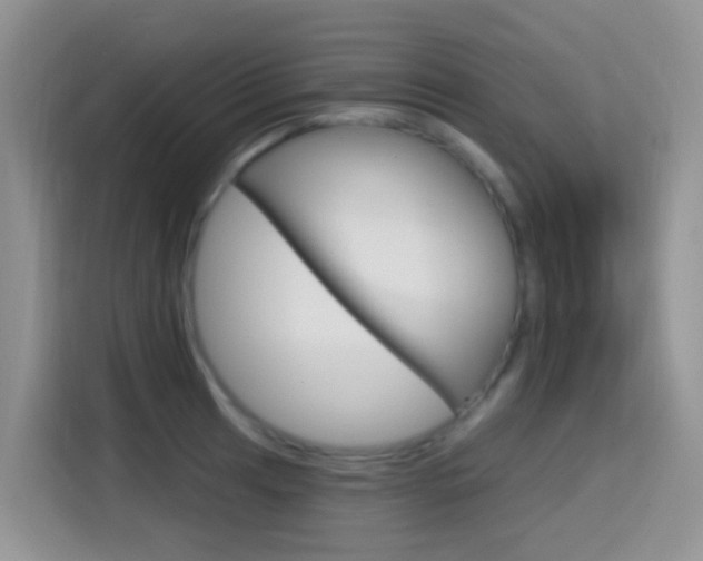 X0000114651041200910200957