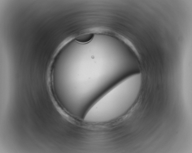X0000114651042200910200957