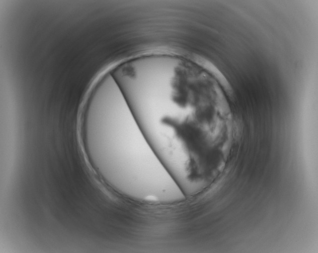 X0000114651043200910200957