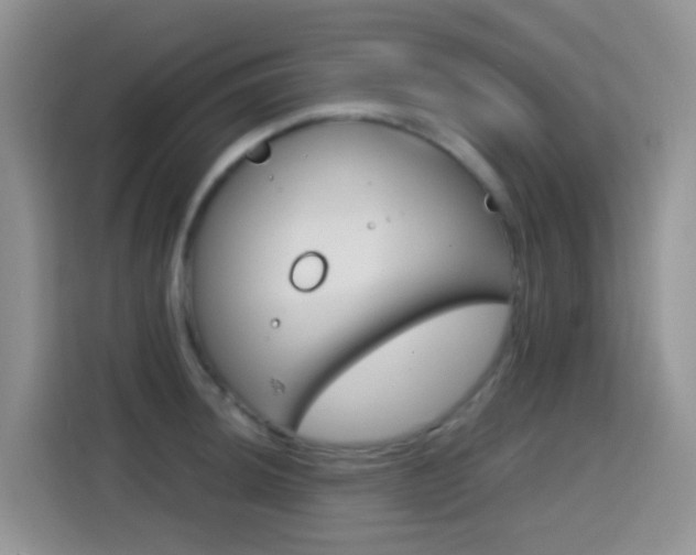 X0000114651044200910200957