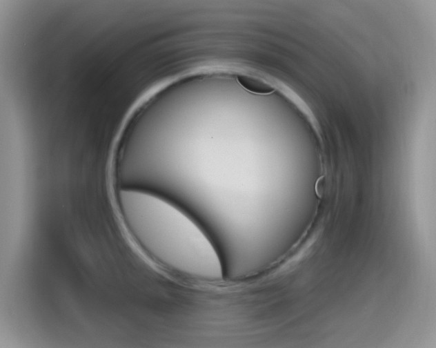 X0000114651045200910200957