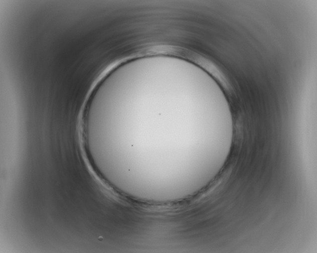 X0000114651047200910200957