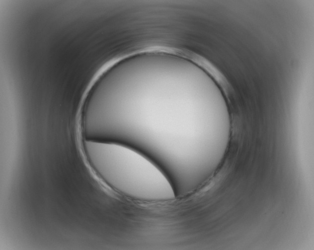 X0000114651048200910200957
