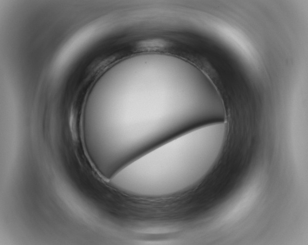 X0000114651054200910200957