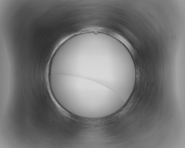 X0000114651055200910200957