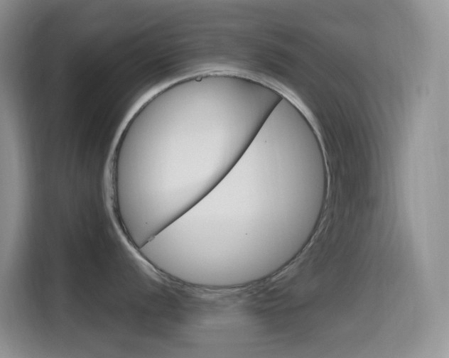 X0000114651056200910200957