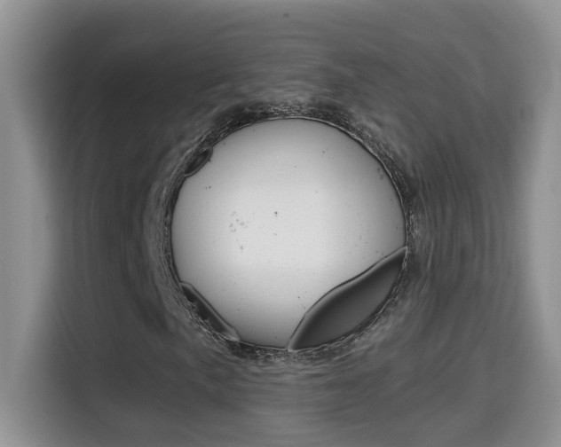 X0000114651057200910200956