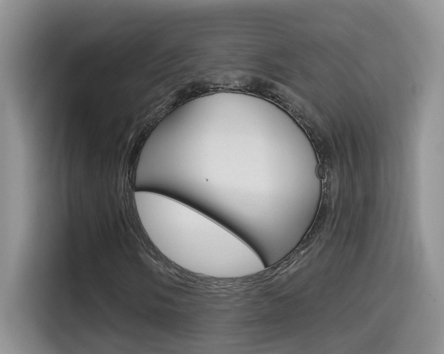 X0000114651058200910200956